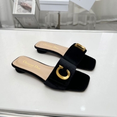 Christian Dior Slippers